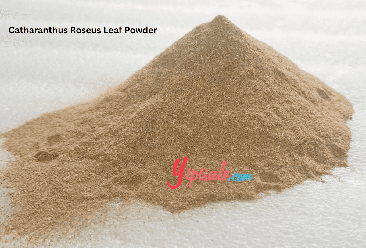 Herbal supplement powder