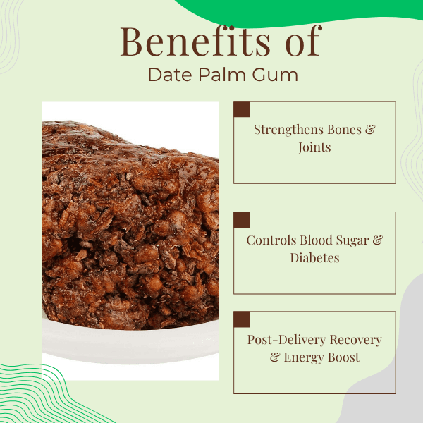 Date palm gum with benefits listed on a green background