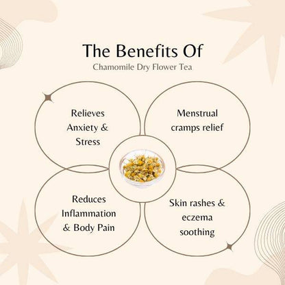 benefits of chamomile dry flower tea on a beige background