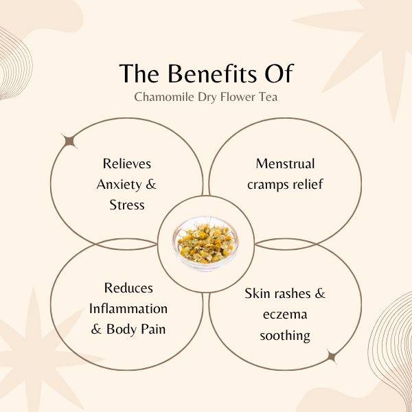 benefits of chamomile dry flower tea on a beige background