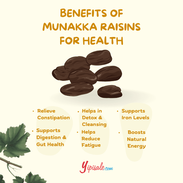 Benefits of Munakka Raisins for health infographic