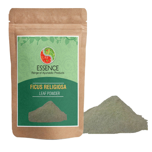 Essence Ficus Religiosa Leaf Powder, Leaf of Peepal, Sacred Fig, Pipal Tree - 7 oz. to 352 oz.