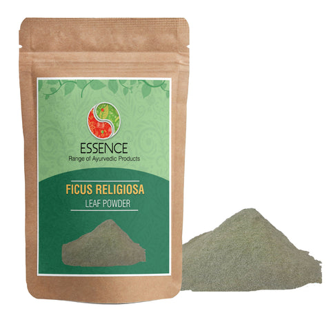 Essence Ficus Religiosa Leaf Powder, Leaf of Peepal, Sacred Fig, Pipal Tree - 7 oz. to 352 oz.