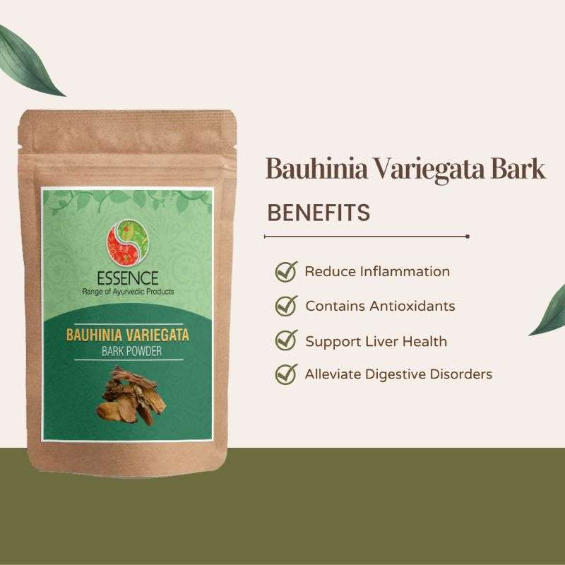 Essence Bauhinia Variegata Bark Powder, Kachnar Chal, Orchid Tree, Mountain Ebony