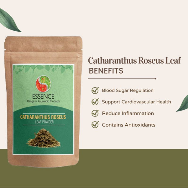 Essence Catharanthus Roseus Leaf Powder, Sadabahar Leaf, Ayurveda Herb Madagascar Periwinkle