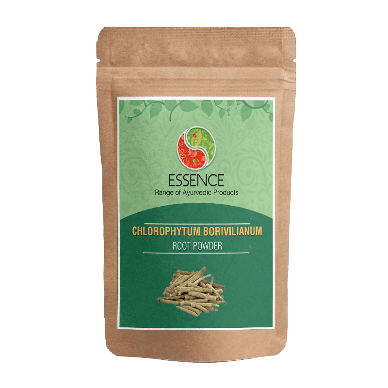 EssenceChlorophytumBorivilianumRoot