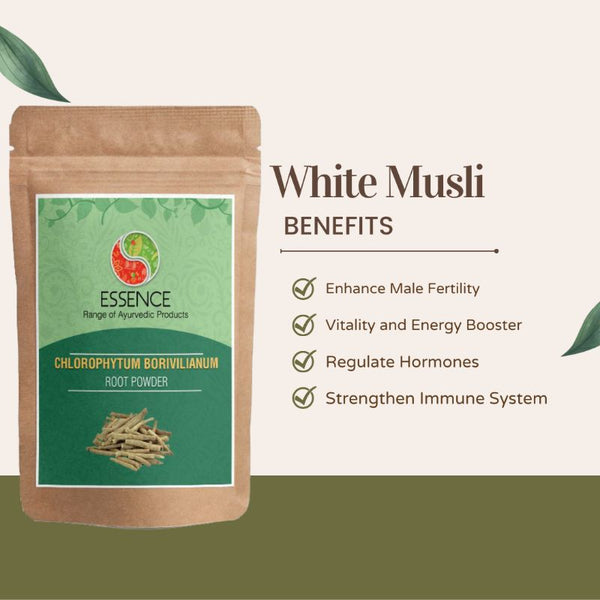 Essence Chlorophytum Borivilianum Root Powder, Safed Musli, India Spider Plant, White Musli