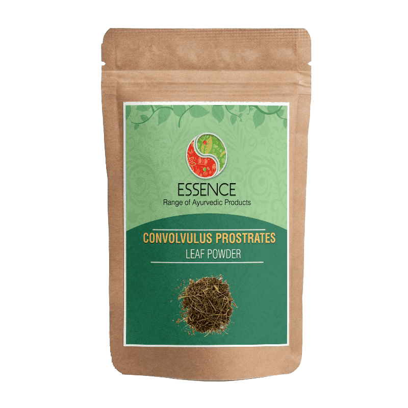 Essence Convolvulus Prostratus Leaf Powder