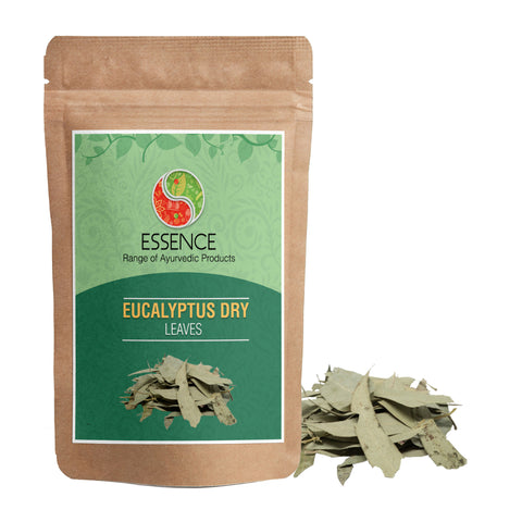 Essence Eucalyptus Dry Leaves, Nilgiri Patti, Thailam Leaves