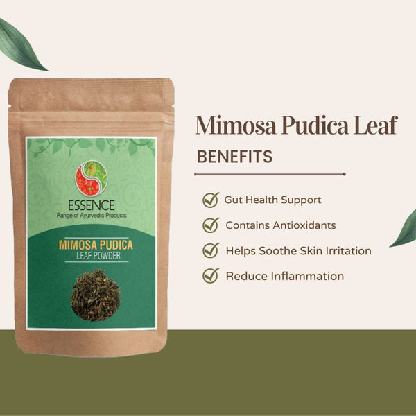 Essence Mimosa Pudica Leaf Powder, Chui Mui, Touch Me Not Plant, Lajwanti Patti