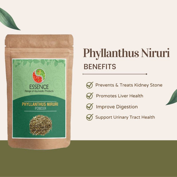 Essence Phyllanthus Niruri Powder, Bhumiamalaki Herb for Digestion, Bowel Problem