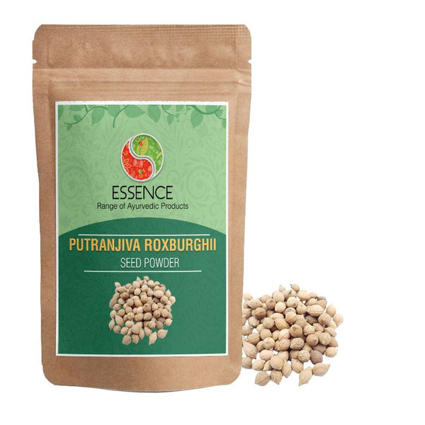 Essence Putranjiva Roxburghii Seed Powder, Putrajeevak Beej for Women Reproductive Health