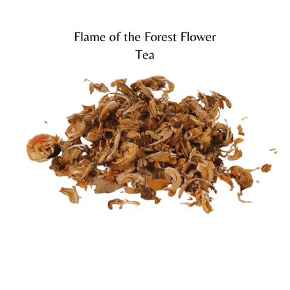 Flame of the Forest Flower Tea | Body Detox & Parasite Cleanse | Butea Monosperma Herbal Tea