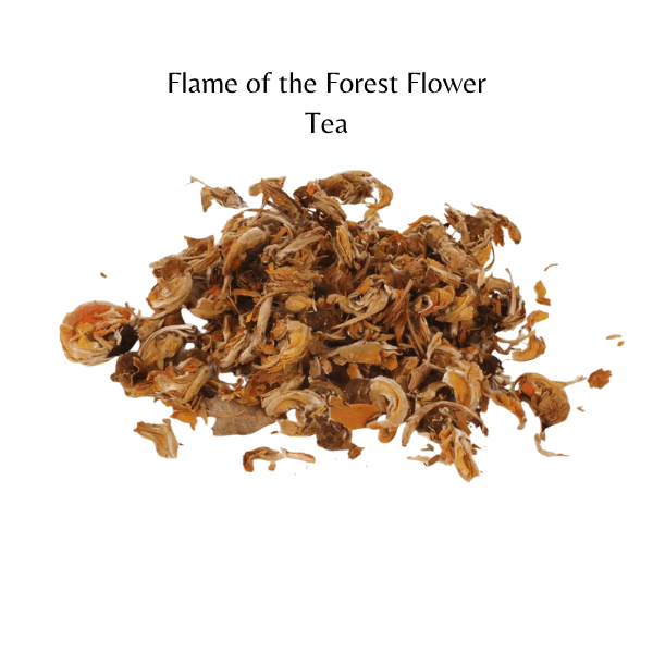 Flame of the Forest Flower Tea | Body Detox & Parasite Cleanse | Butea Monosperma Herbal Tea