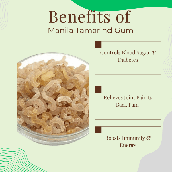 Manila Tamarind Gum | Blood Sugar & Digestive Pain Relief | Pithecellobium Dulce Raw Resin