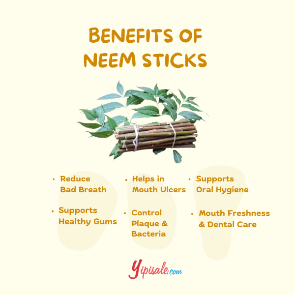 Benefits of neem sticks with a捆绑的neem sticks图像和Yipisale.com标志