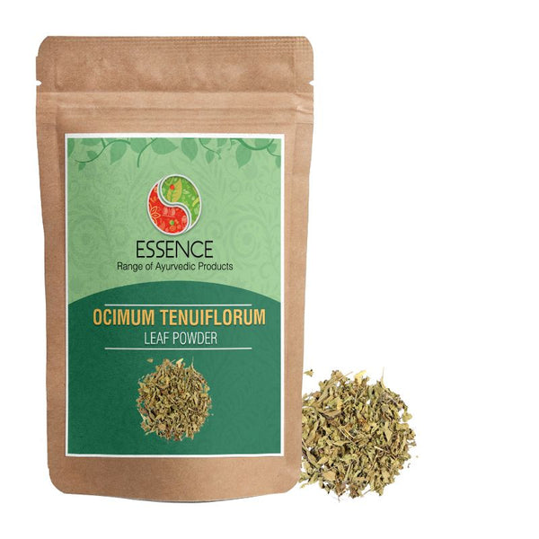Essence Ocimum Tenuiflorum Leaf Powder, Tulsi Patra, Holy Basil, Tamole