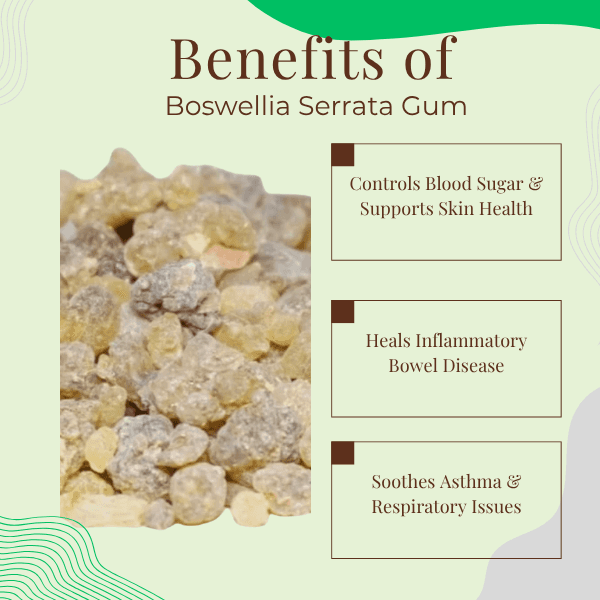 Boswellia Serrata Gum | Joint Pain & Arthritis Relief | Indian Frankincense Raw Resin