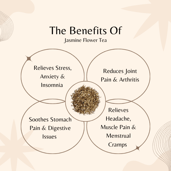 Jasmine Flower Tea | Anxiety & Digestive Pain Relief | Jasminum Sambac Herbal Tea