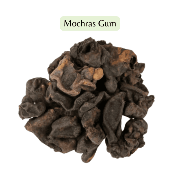 Mochras Gum on a white background with 'Mochras Gum' text above.