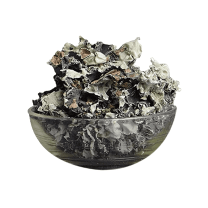 Black Stone Flower Tea | Digestive Pain & Bloating Relief | Parmotrema Perlatum Herbal Tea