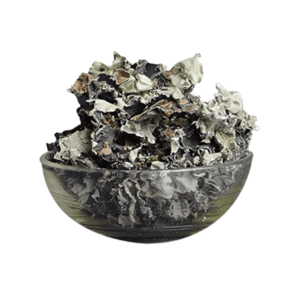 Black Stone Flower Tea | Digestive Pain & Bloating Relief | Parmotrema Perlatum Herbal Tea