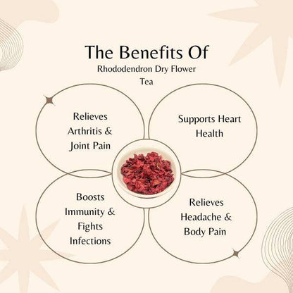  benefits of rhododendron dry flower tea on a beige background