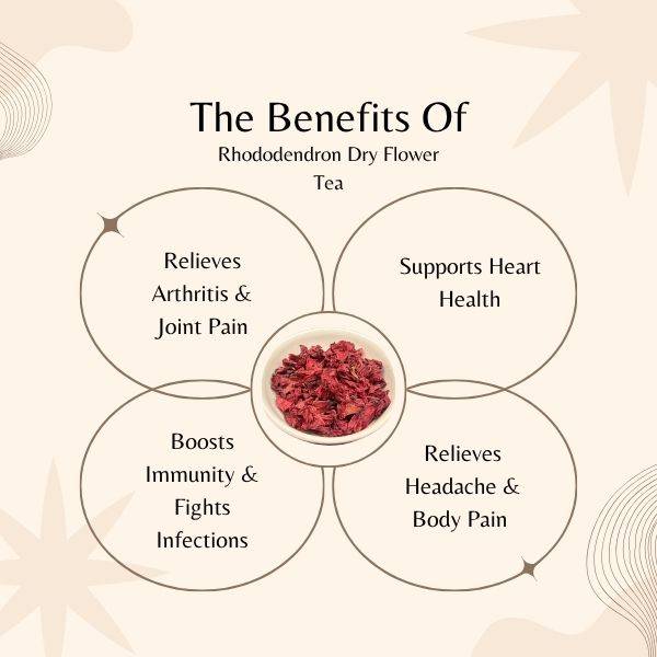  benefits of rhododendron dry flower tea on a beige background