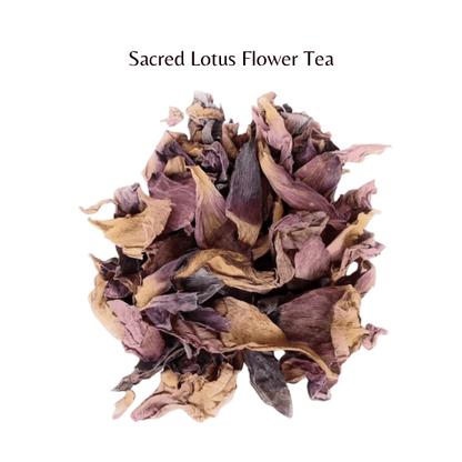 Sacred Lotus Flower Tea | Blood Sugar & Stress Relief | Nelumbo Nucifera Herbal Tea