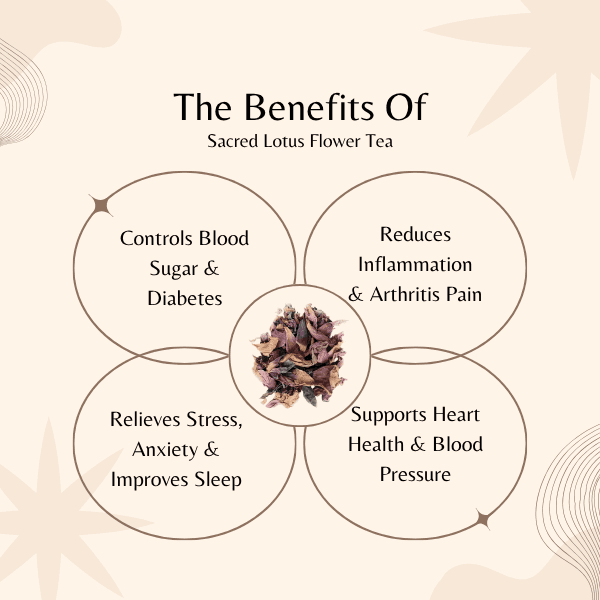 Sacred Lotus Flower Tea | Blood Sugar & Stress Relief | Nelumbo Nucifera Herbal Tea