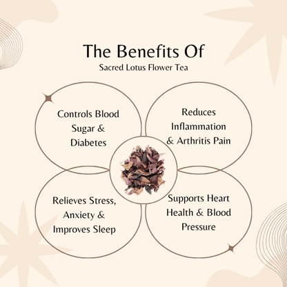 Sacred Lotus Flower Tea | Blood Sugar & Stress Relief | Nelumbo Nucifera Herbal Tea
