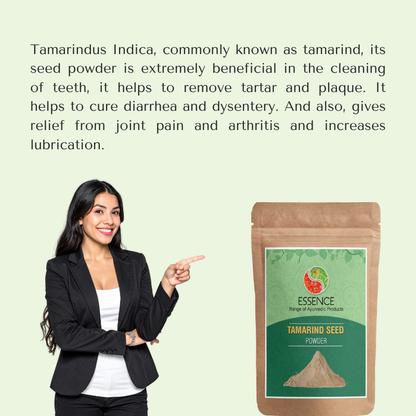 Tamarind Seed Powder