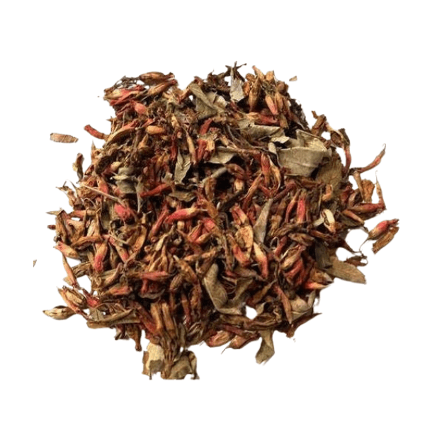 Fire Flame Bush Flower Tea | Menstrual Pain Relief | Woodfordia Fruticosa Herbal Tea