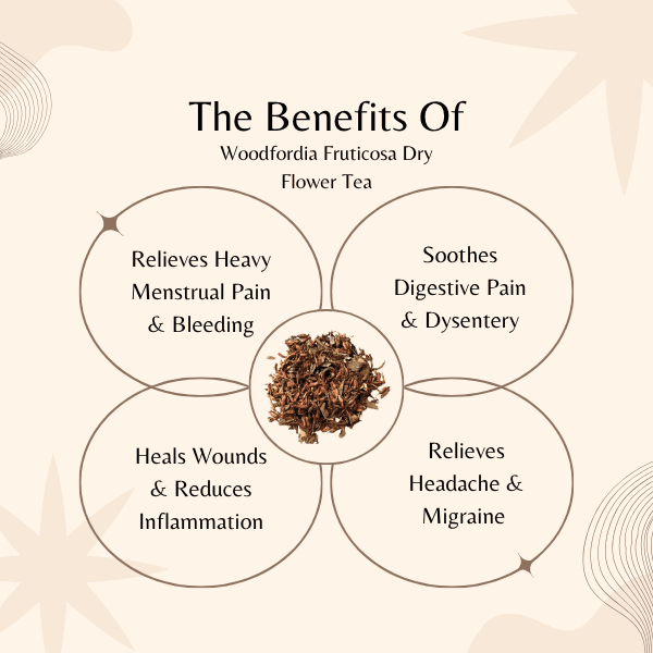 Fire Flame Bush Flower Tea | Menstrual Pain Relief | Woodfordia Fruticosa Herbal Tea