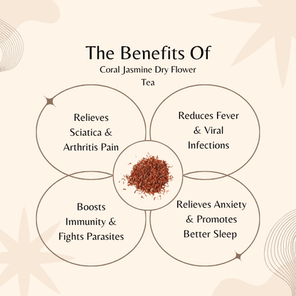 Night Jasmine Flower Tea | Sciatica & Arthritis Relief | Nyctanthes Arbor Tristis Herbal Tea