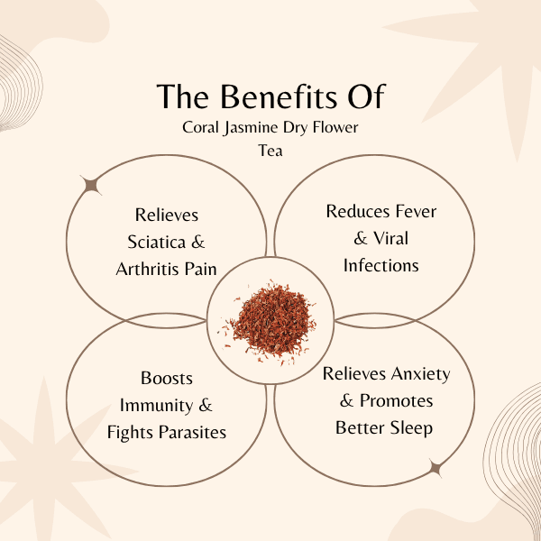Night Jasmine Flower Tea | Sciatica & Arthritis Relief | Nyctanthes Arbor Tristis Herbal Tea