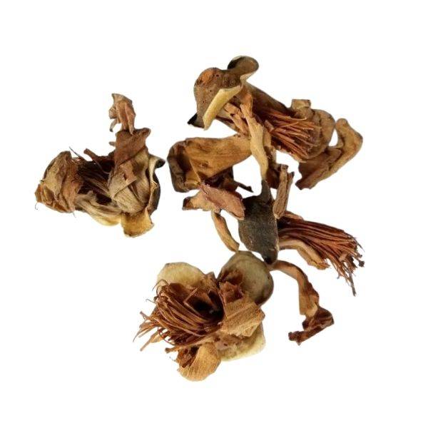 Dried semal phool tea