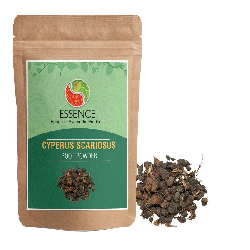 Essence Cyperus Scariosus Root Powder, Nagarmotha, Nutgrass