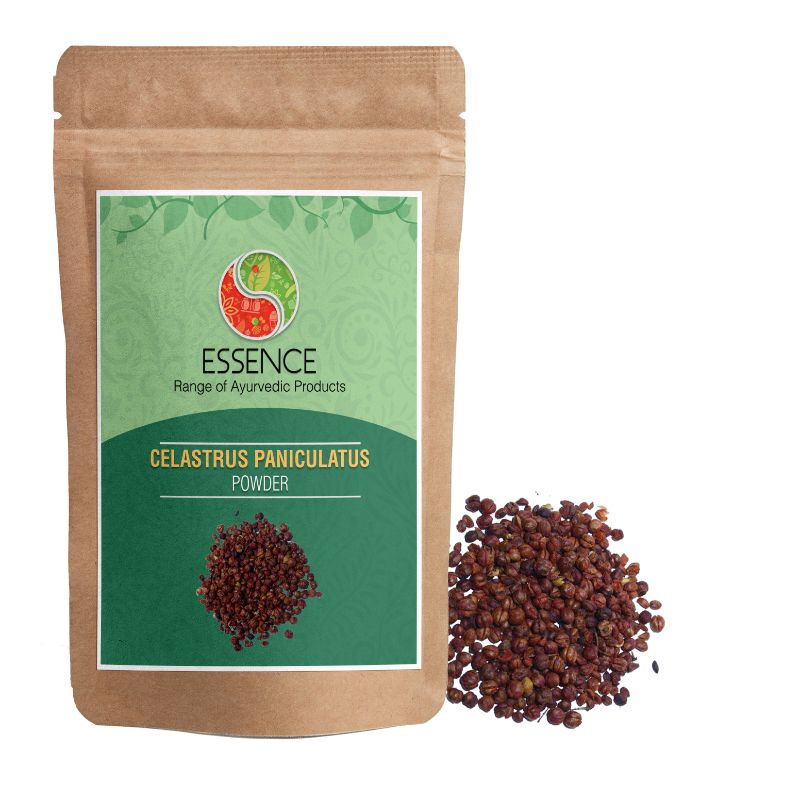 Essence Celastrus Paniculatus Seed Powder, Jyotishmati, Malkagni Beej