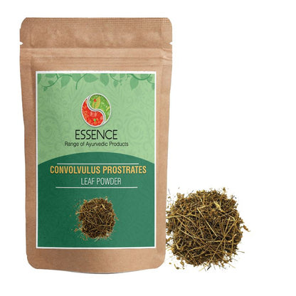 Essence Convolvulus Prostratus Leaf Powder, Shankhpushpi, Morning Glory