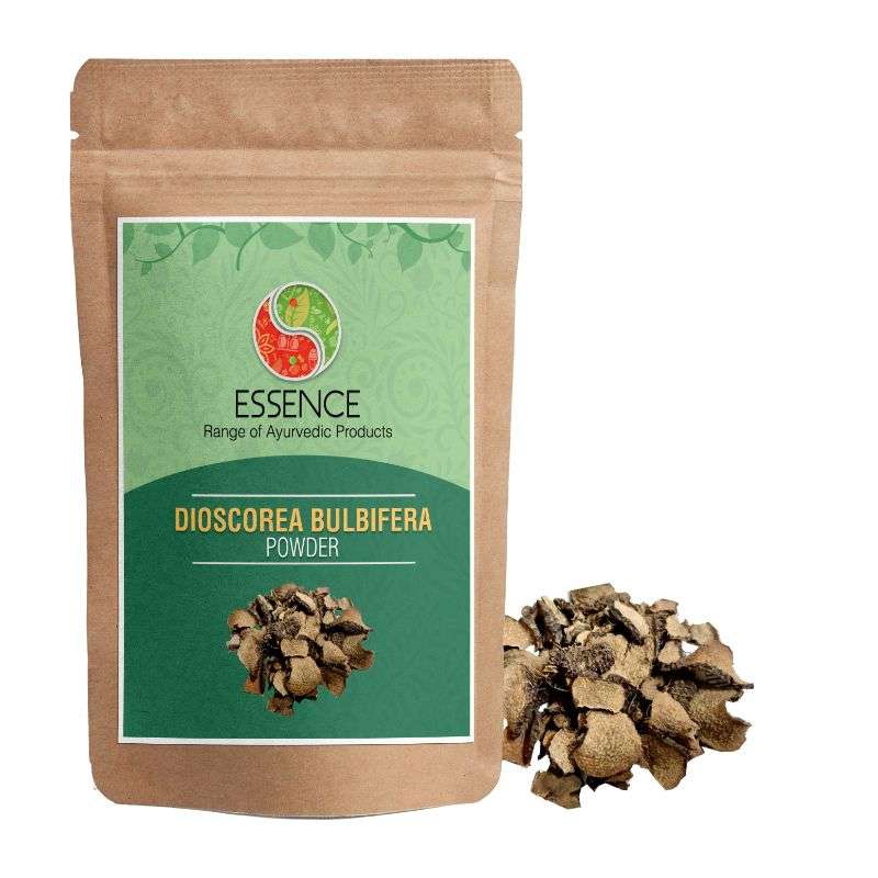 Essence Dioscorea Bulbifera Powder, Vidarikand, Air Potato, Varahikand