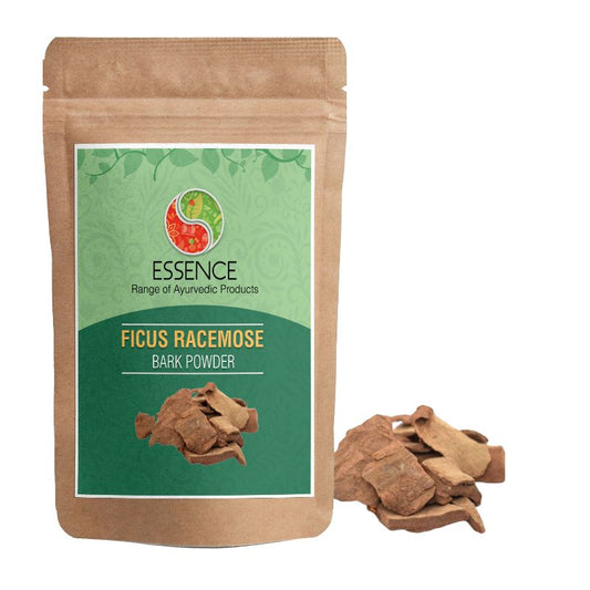 Essence Ficus Racemose Bark Powder, Gular Chhal, Cluster Fig Tree