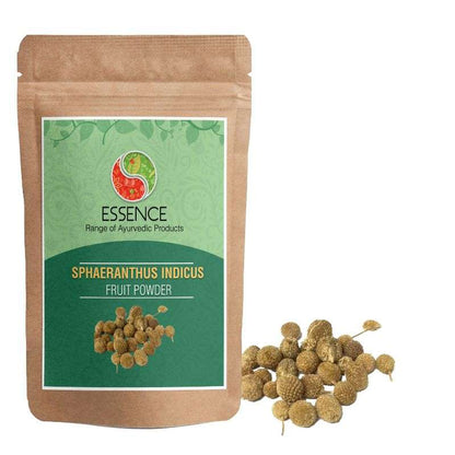 Essence Sphaeranthus Indicus Fruit Powder, Gorakhmundi Powder, East Indian Globe Thistle