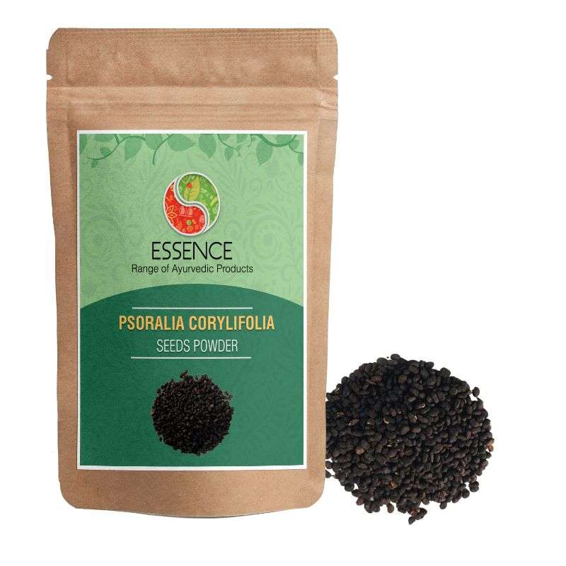 Essence Psoralea Corylifolia Seed Powder, Purple Fleabane, Babchi Beej, Bakuchi, Cullen Corylifolium