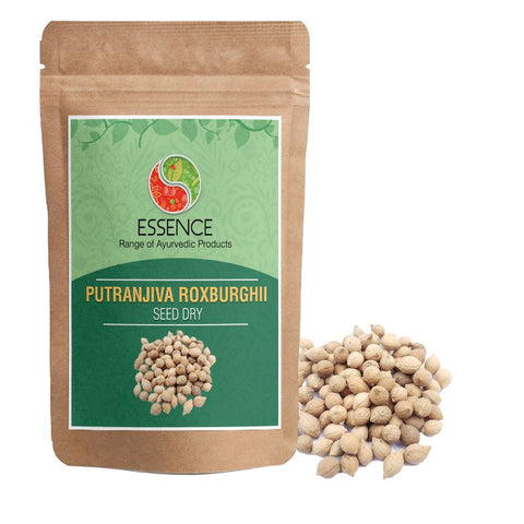 Essence Putranjiva Roxburghii Seed Dry Whole, Putrajeevak Beej, Lucky Bean