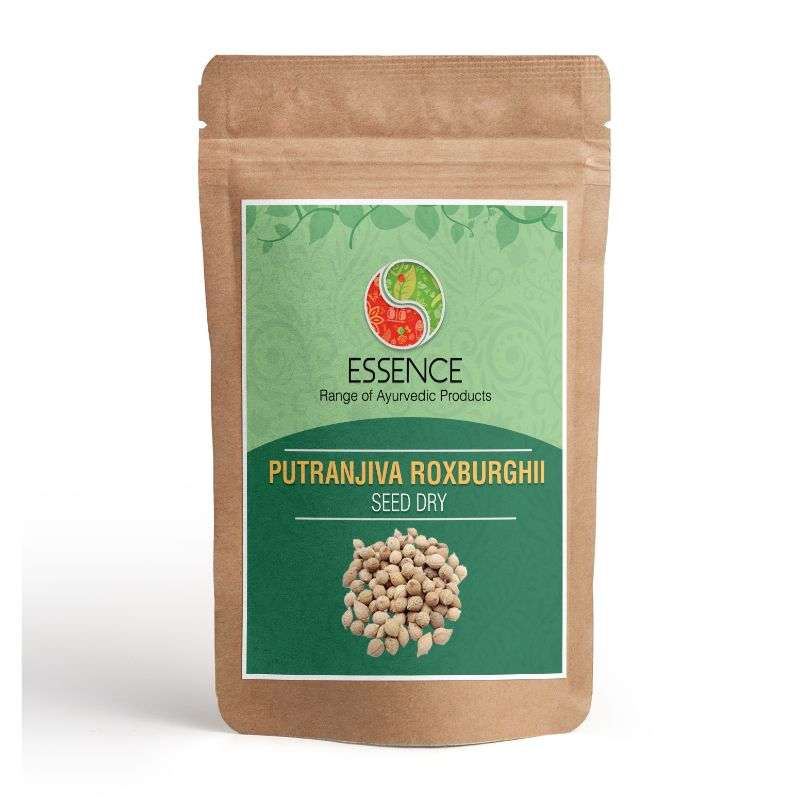 Essence Putranjiva Roxburghii Seed Dry Whole, Putrajeevak Beej, Lucky Bean