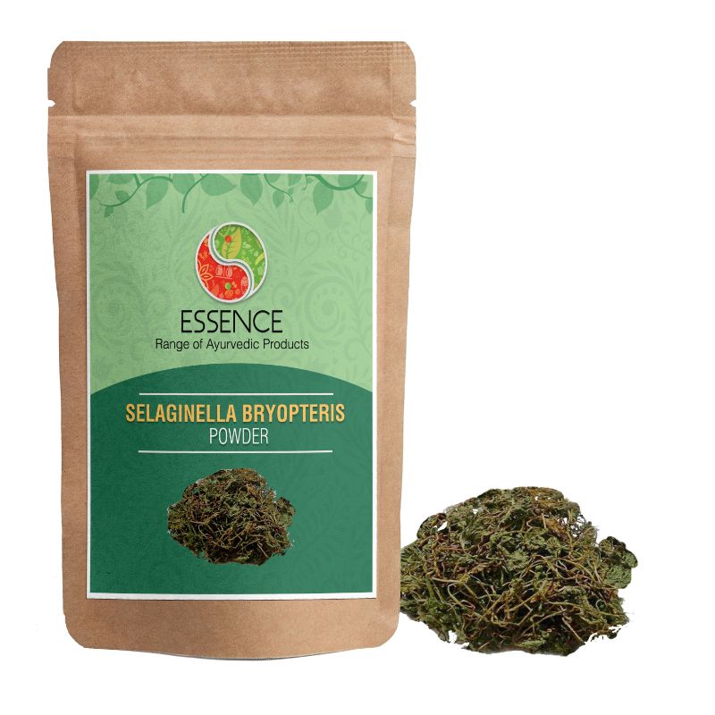 Essence Selaginella Bryopteris Powder, Lakshman Booti