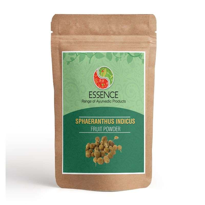 Essence Sphaeranthus Indicus Fruit Powder, Gorakhmundi Powder, East Indian Globe Thistle