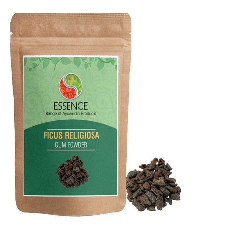Essence Ficus Religiosa Gum Powder, Peepal Tree Lakh Powder, Sacred Fig