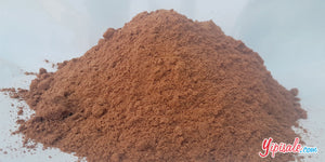5 KG Ficus Racemose Bark Powder, Gular Chhal, Wholesale, 176 oz.